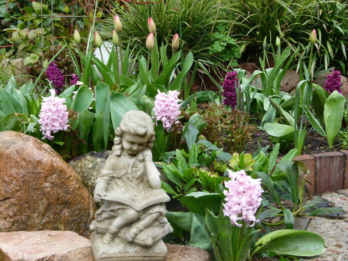 Gartenwohnung Zum Entspannen